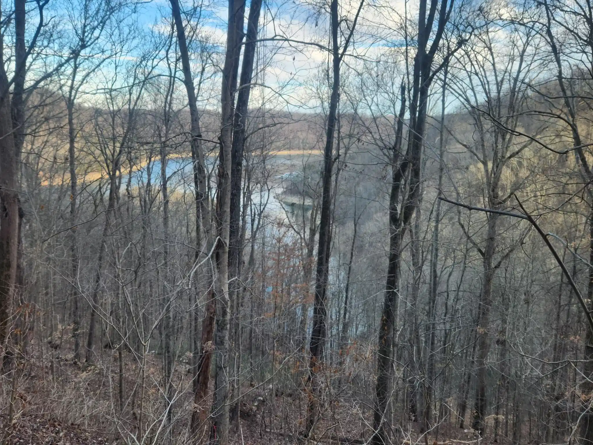 Image 1 Image 1