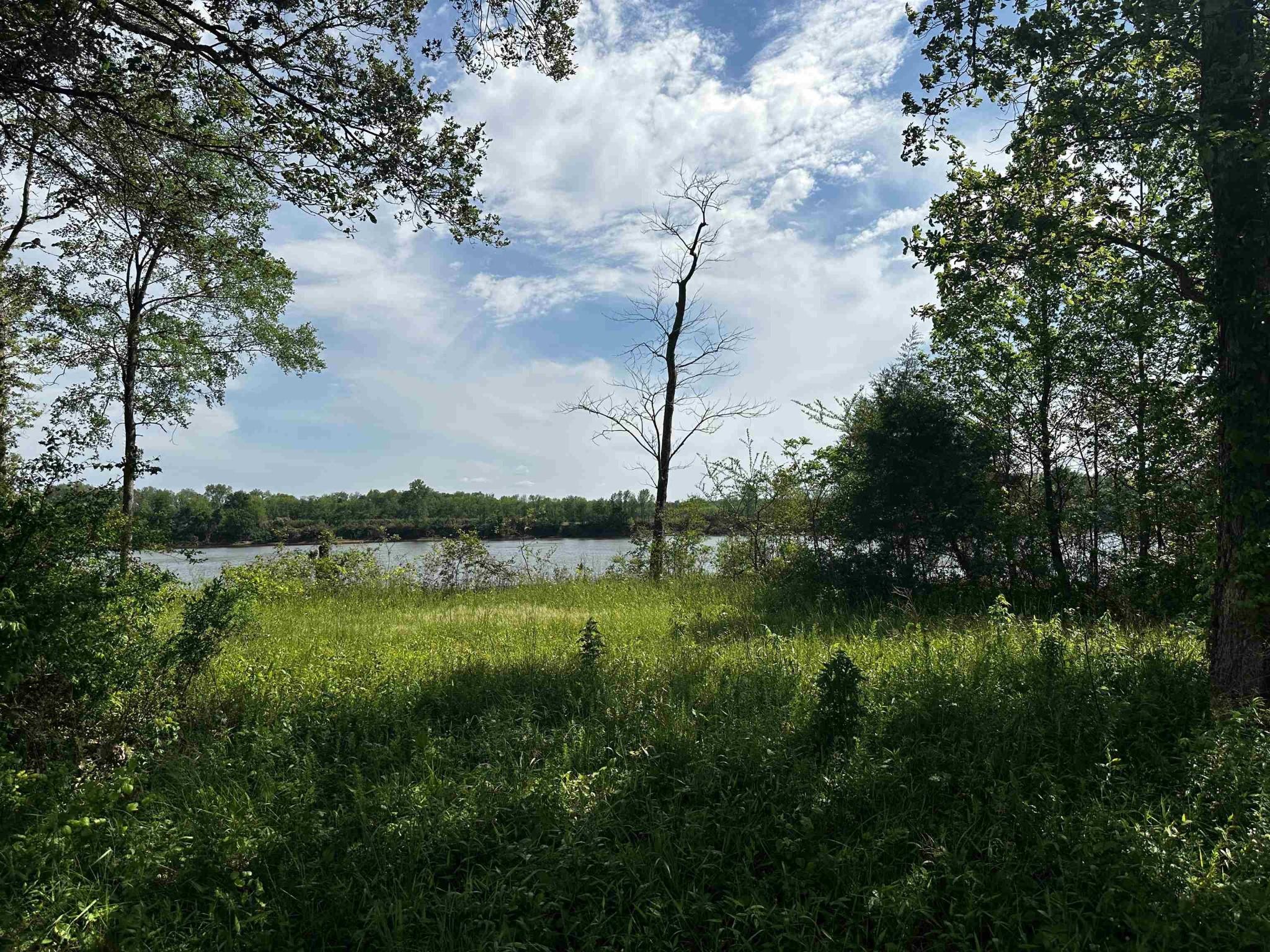 Image 4 Image 4