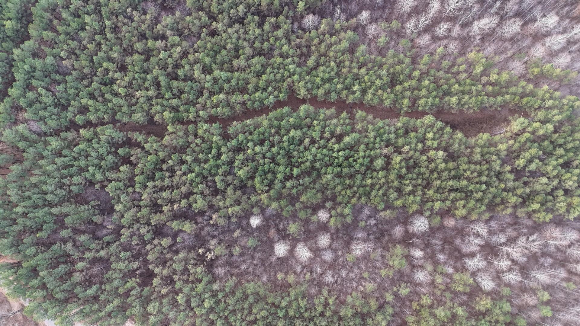 Image 2 Image 2