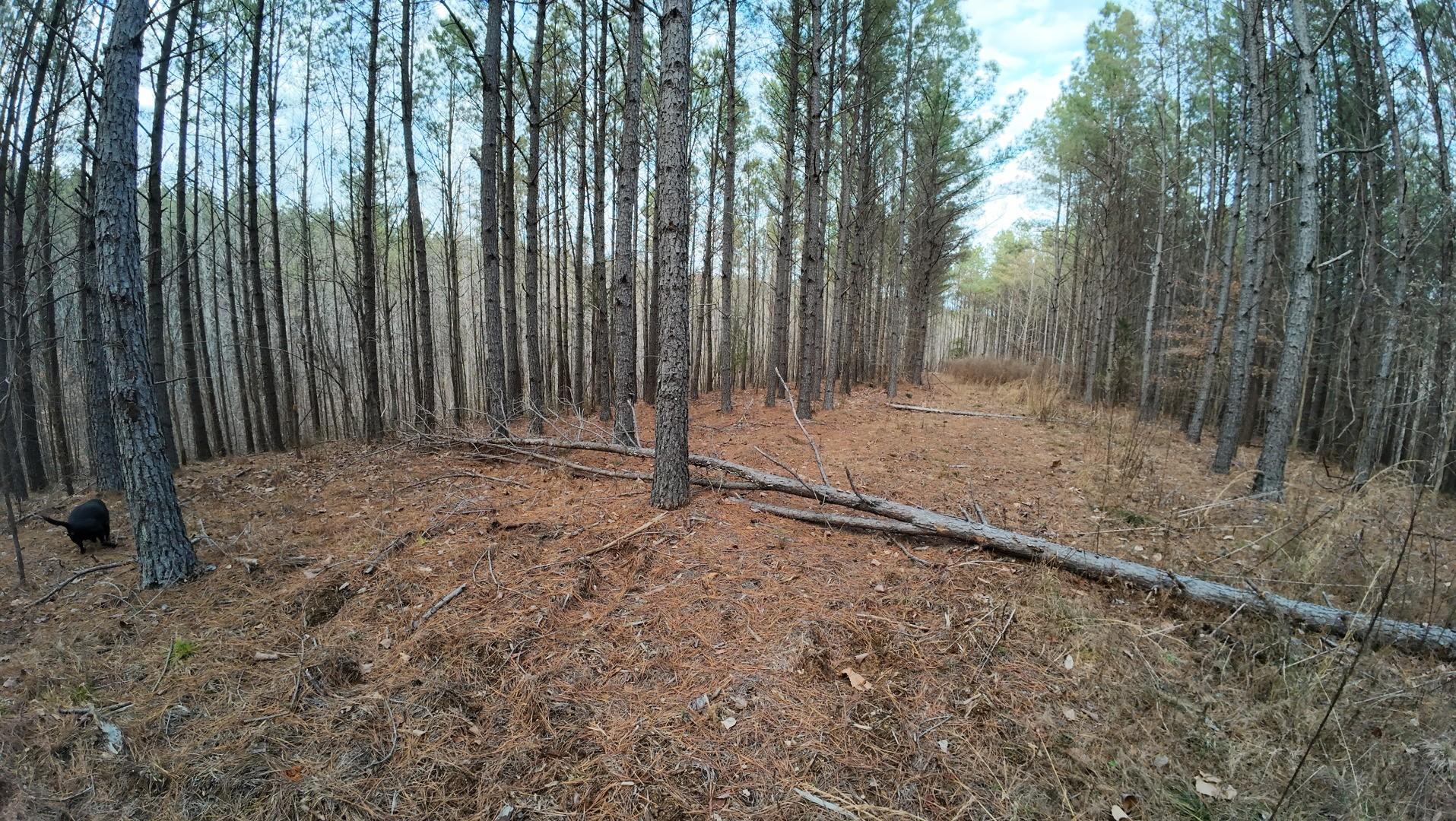 Image 3 Image 3