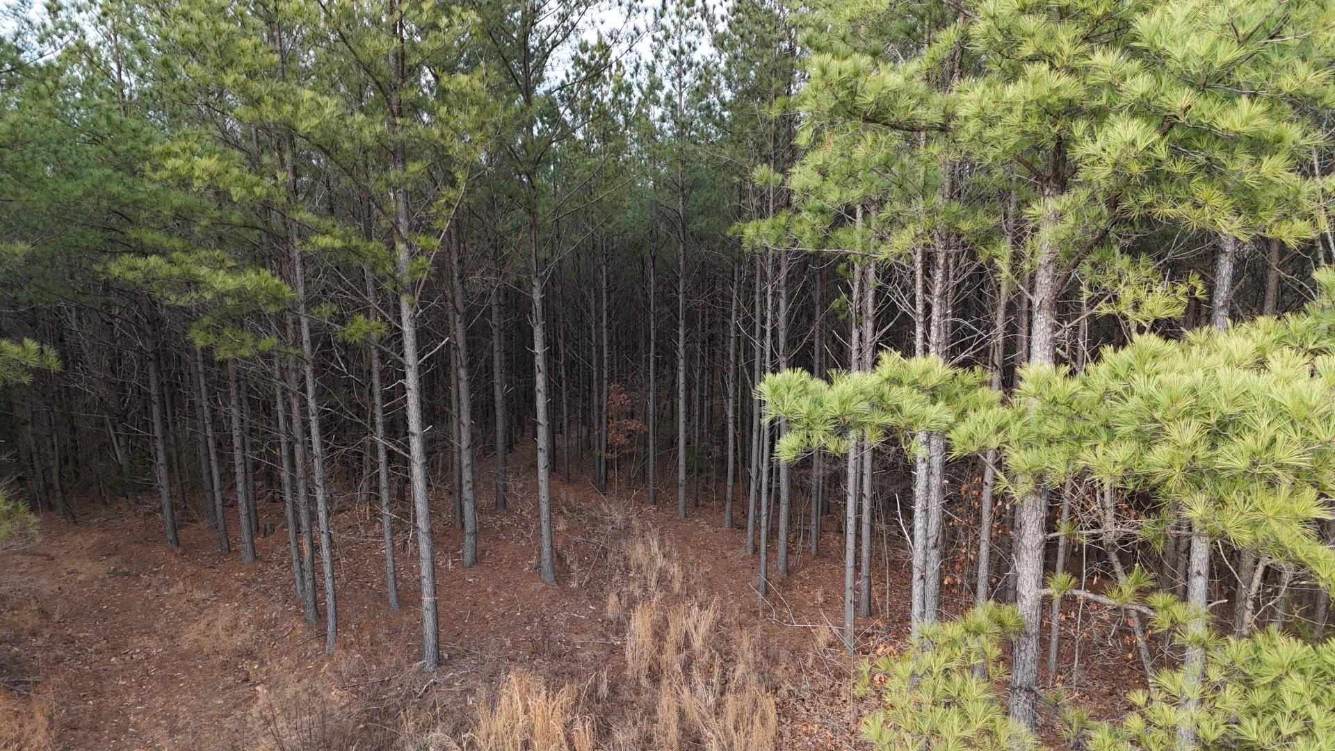 Image 4 Image 4