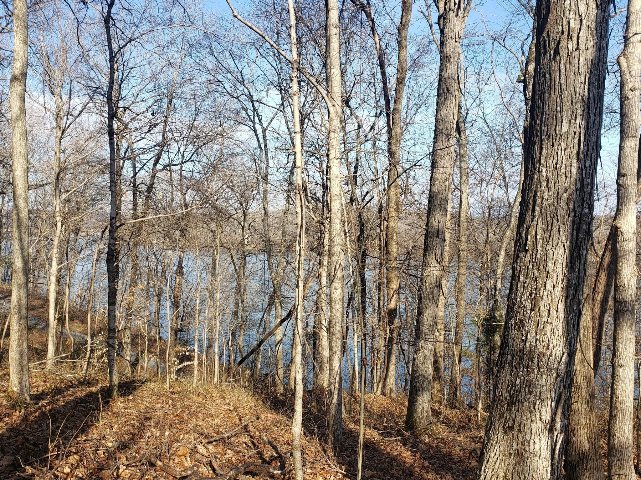 Image 3 Image 3