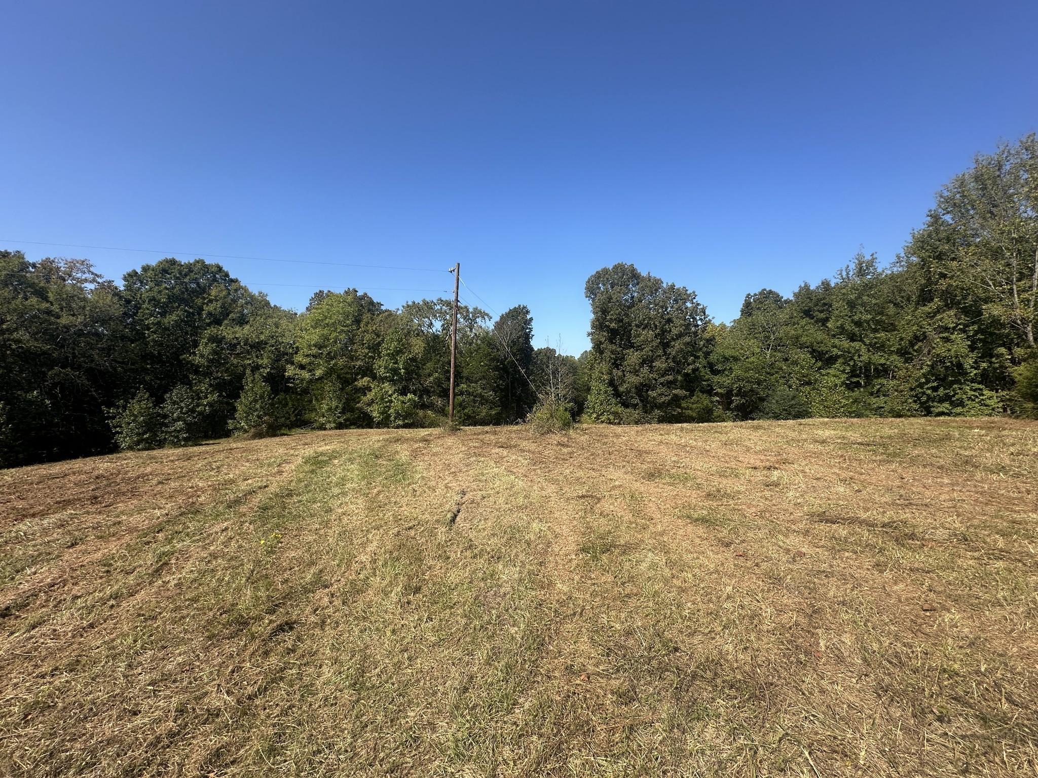 Image 4 Image 4