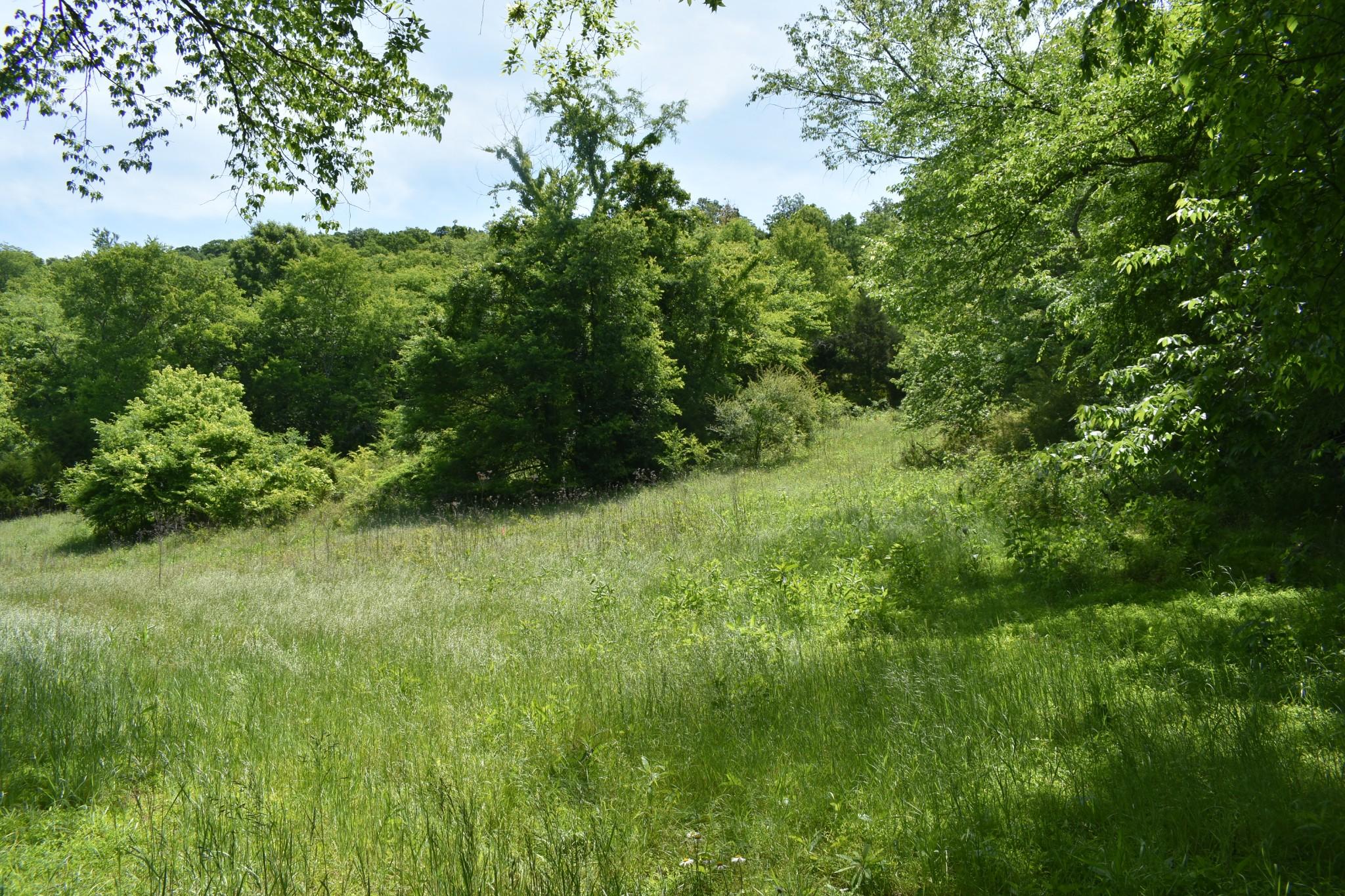 Image 2 Image 2