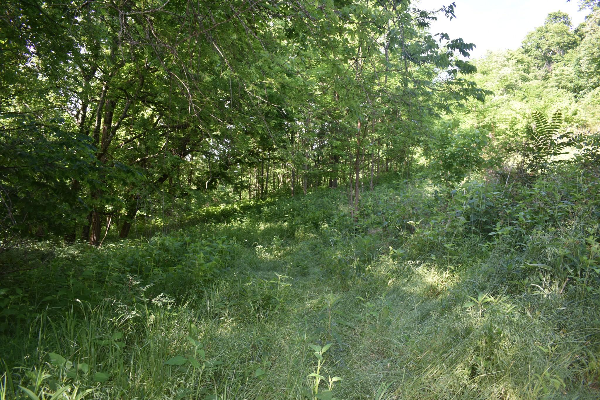 Image 1 Image 1