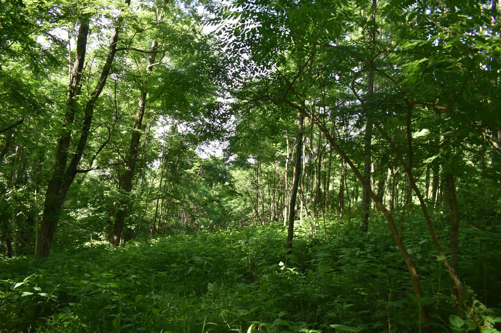 Image 4 Image 4