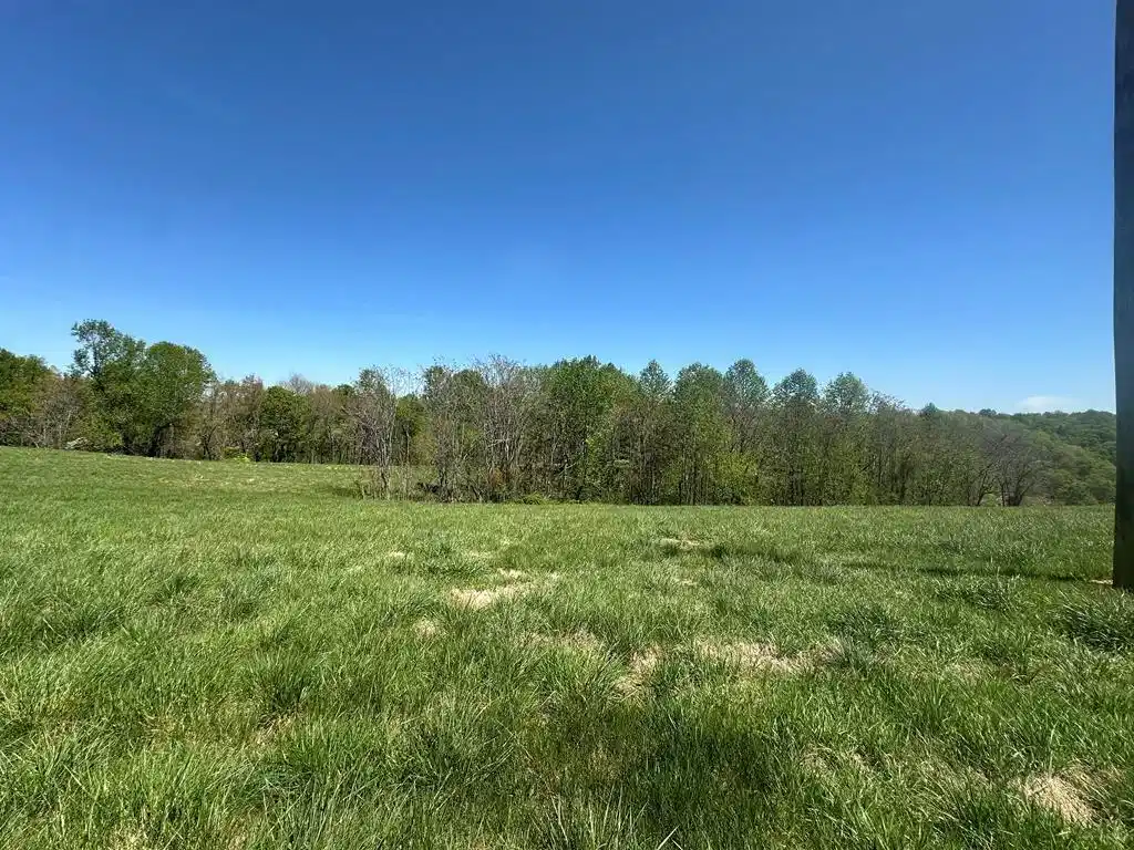 Image 1 Image 1