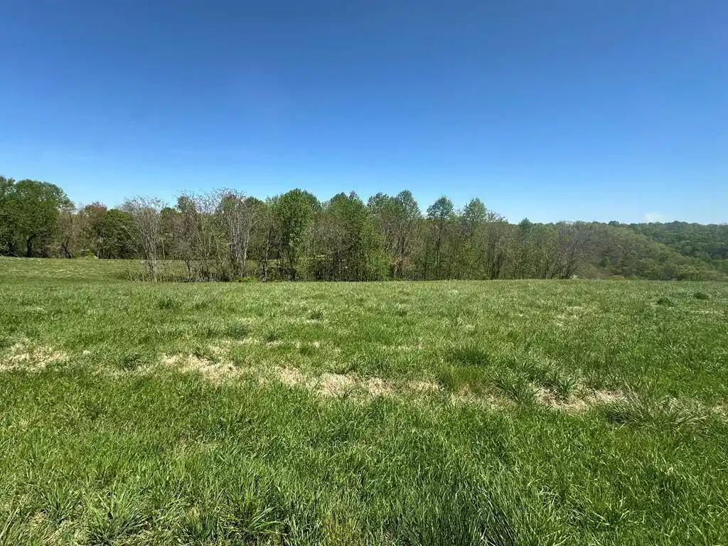 Image 1 Image 1