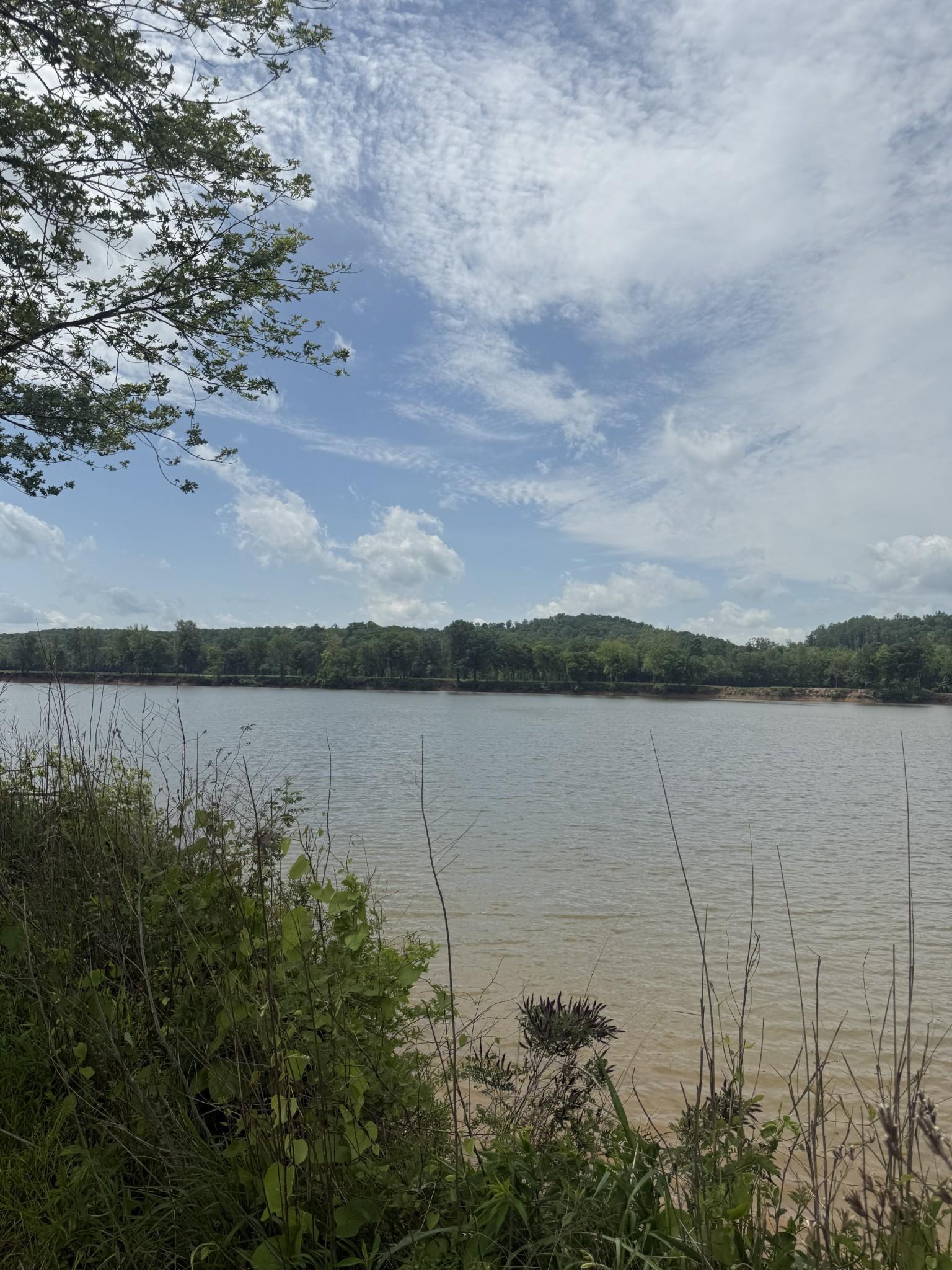 Image 3 Image 3