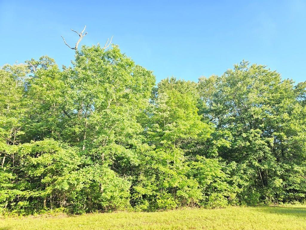 Image 2 Image 2