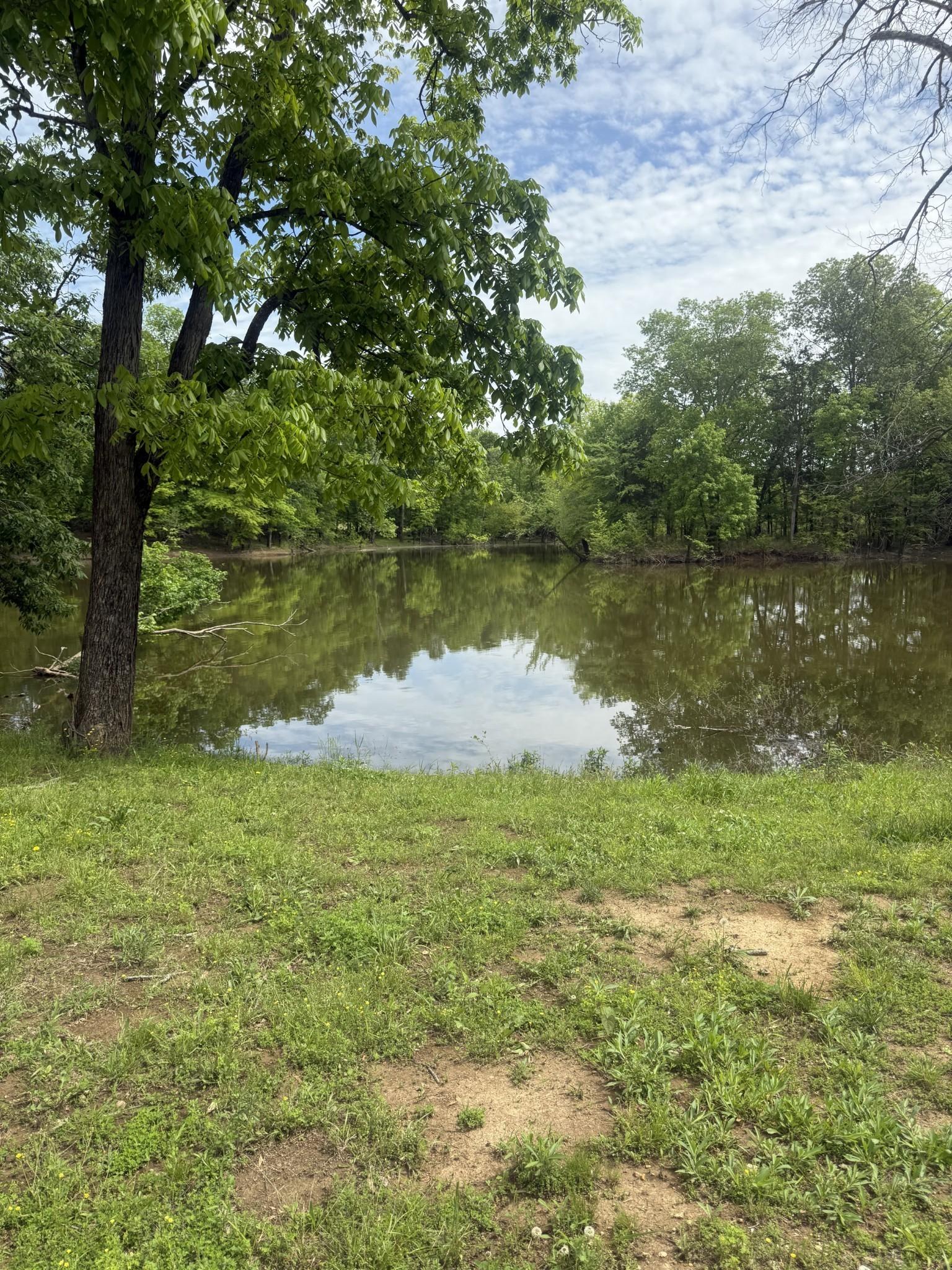 Image 4 Image 4