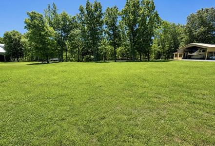 384 Duck Blind Rd