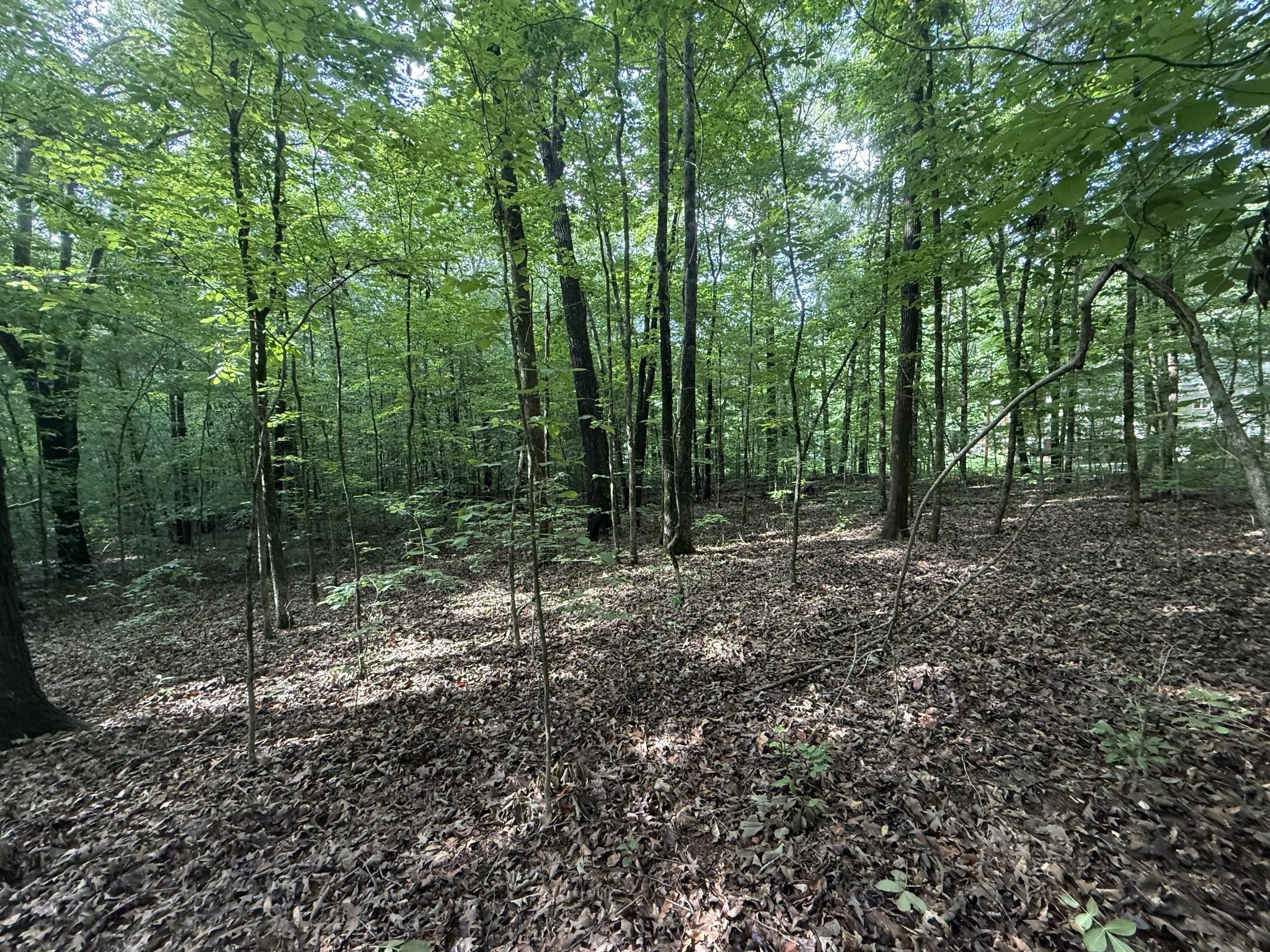 Image 3 Image 3
