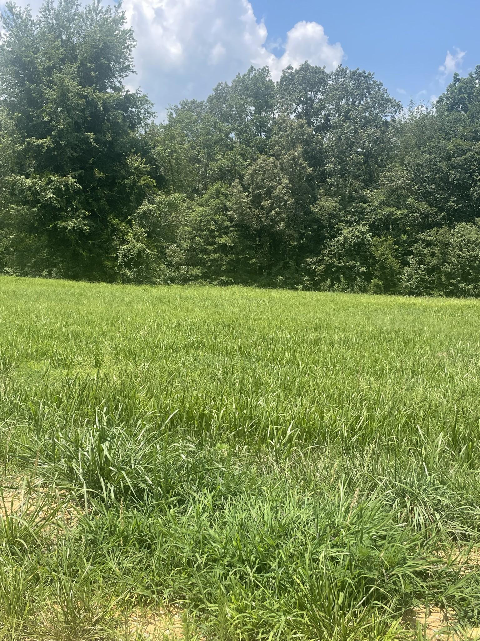 Image 1 Image 1