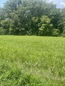 0 Summer Lake