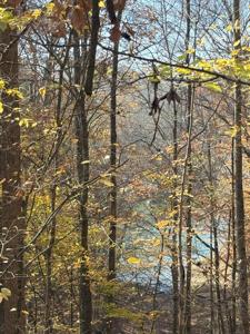 0 Old Tullahoma Rd