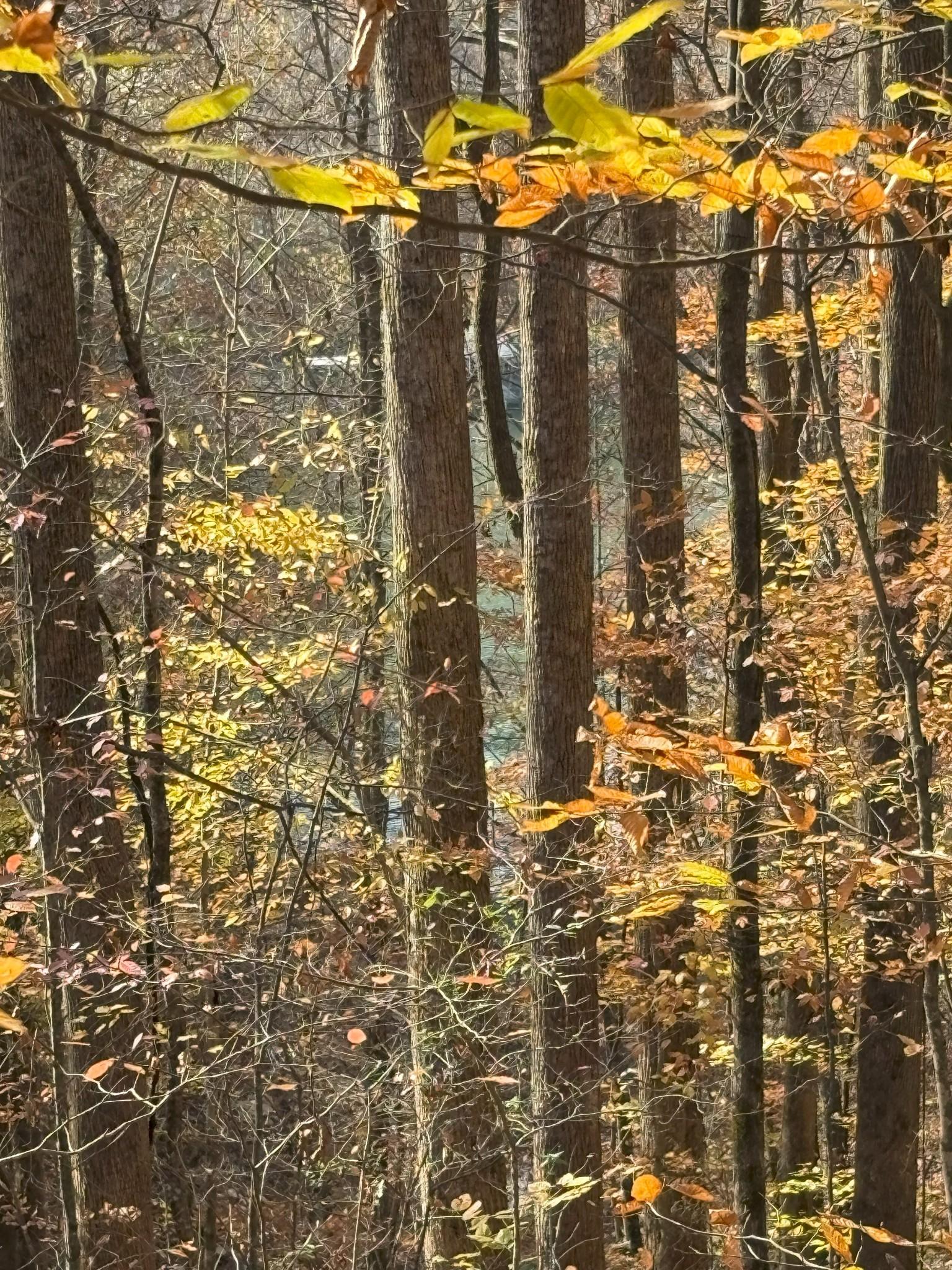 Image 3 Image 3