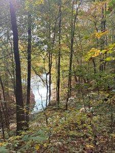 0 Old Tullahoma Rd