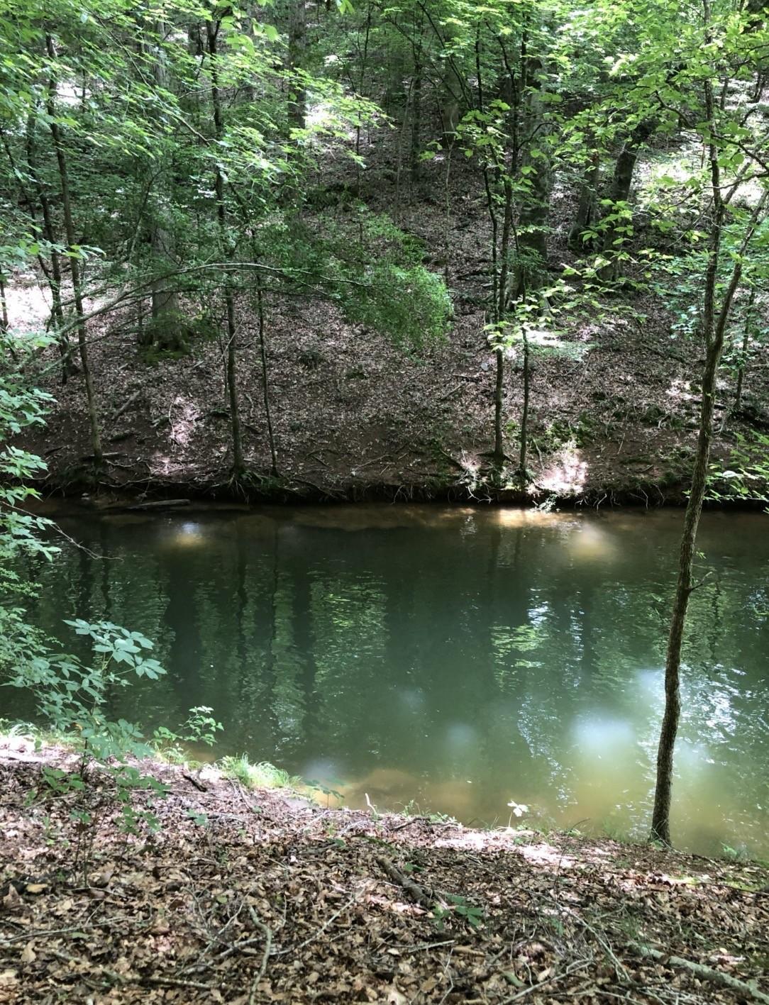 Image 3 Image 3