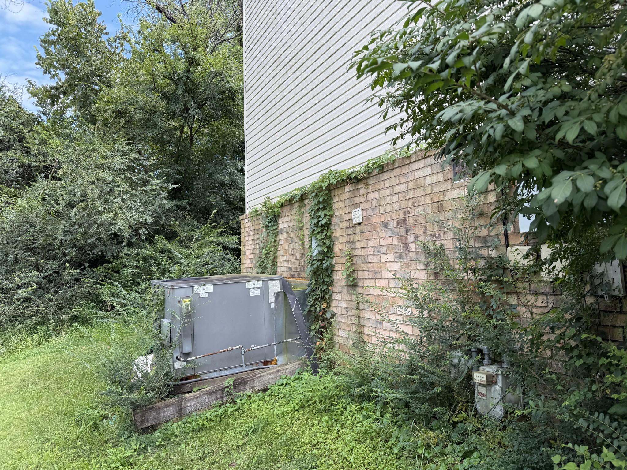 Image 4 Image 4
