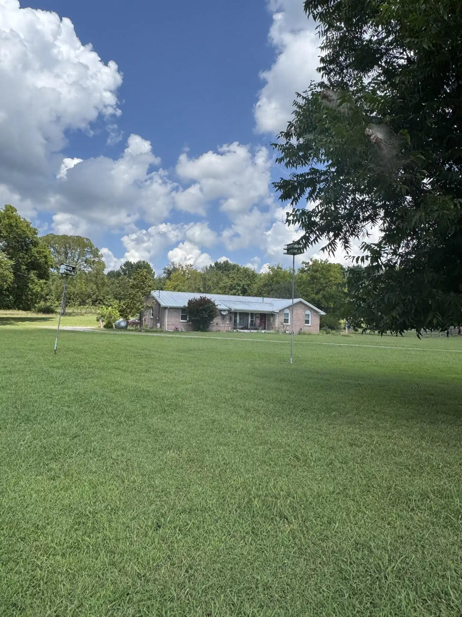 Image 1 Image 1