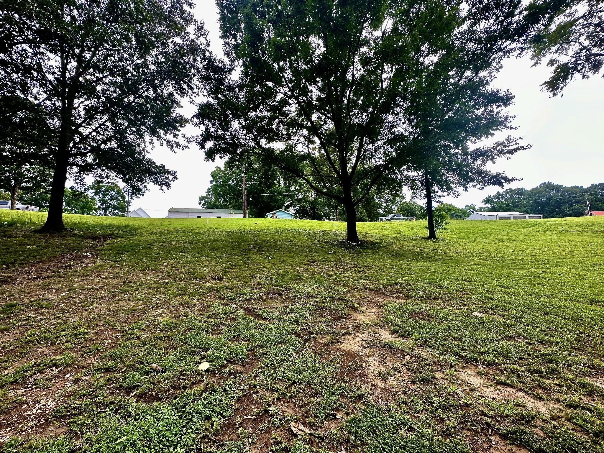 Image 4 Image 4