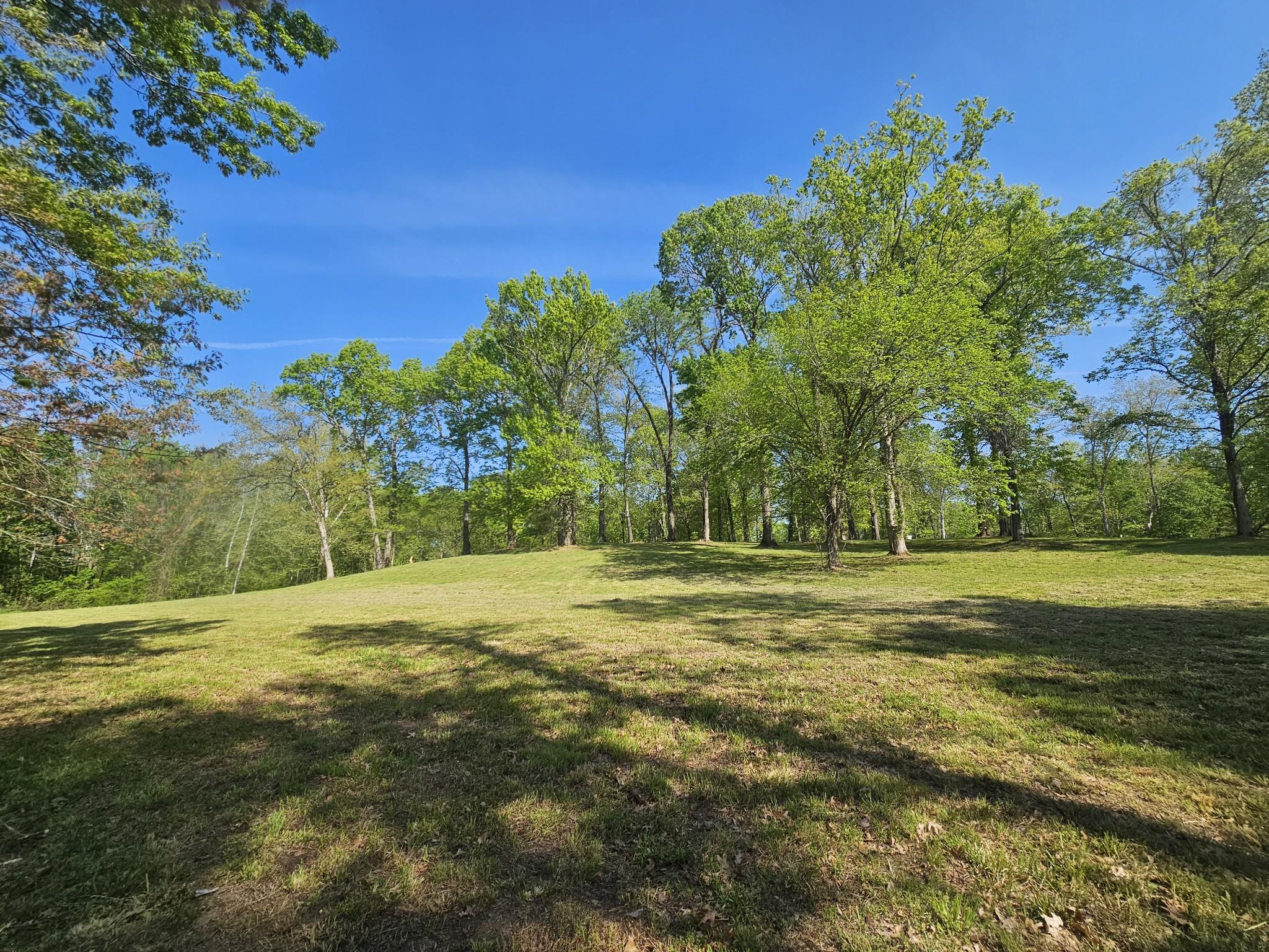 Image 3 Image 3
