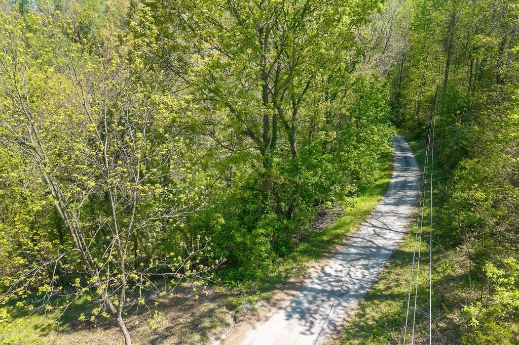 Image 3 Image 3