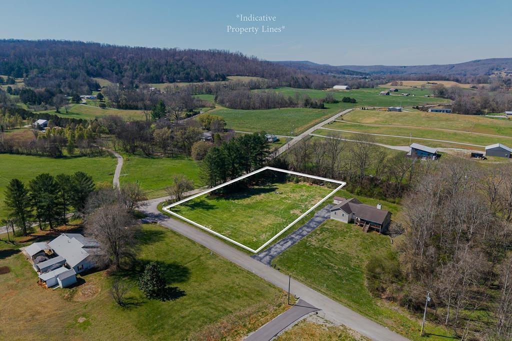 Image 1 Image 1