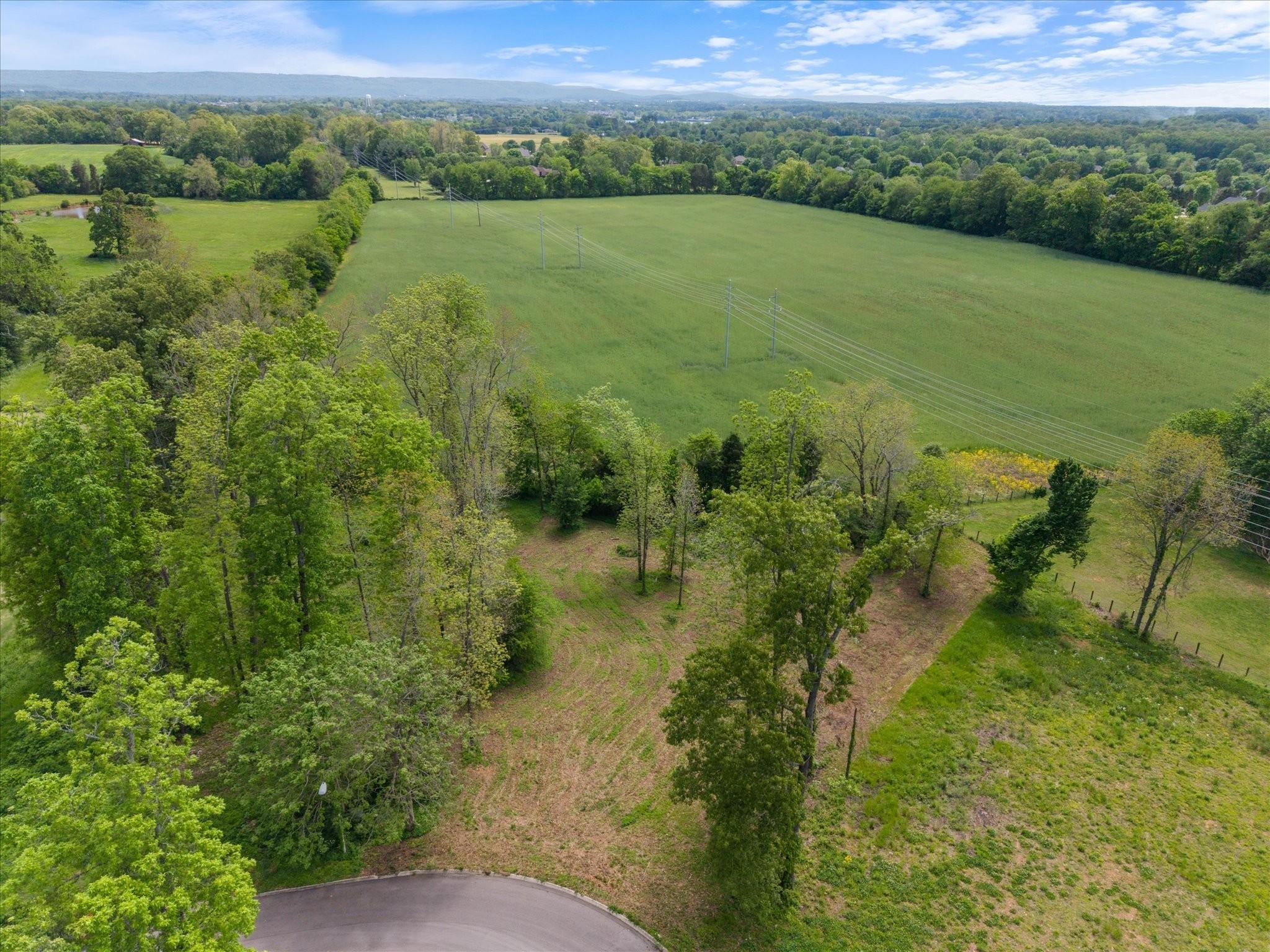 Image 1 Image 1