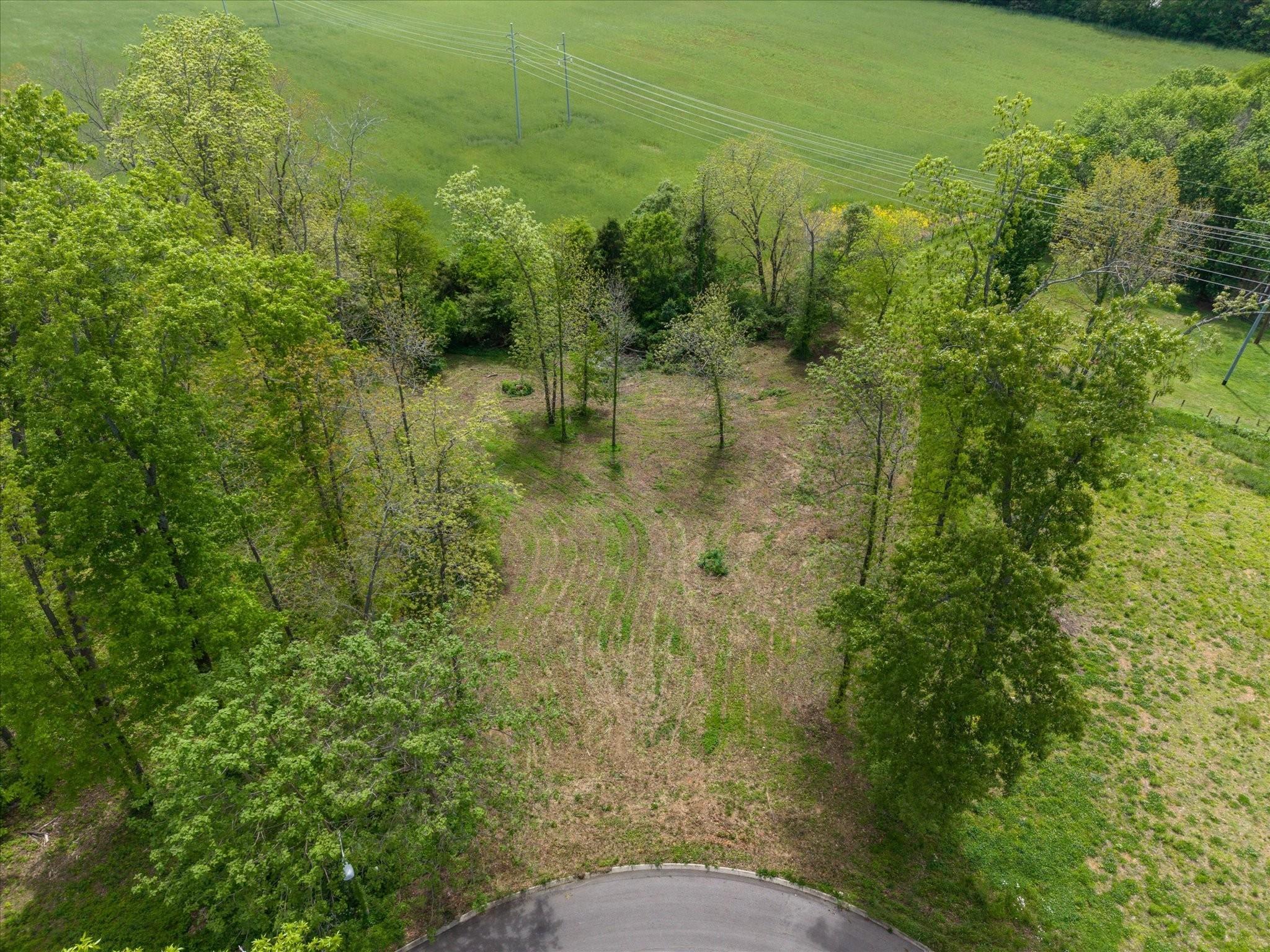 Image 4 Image 4