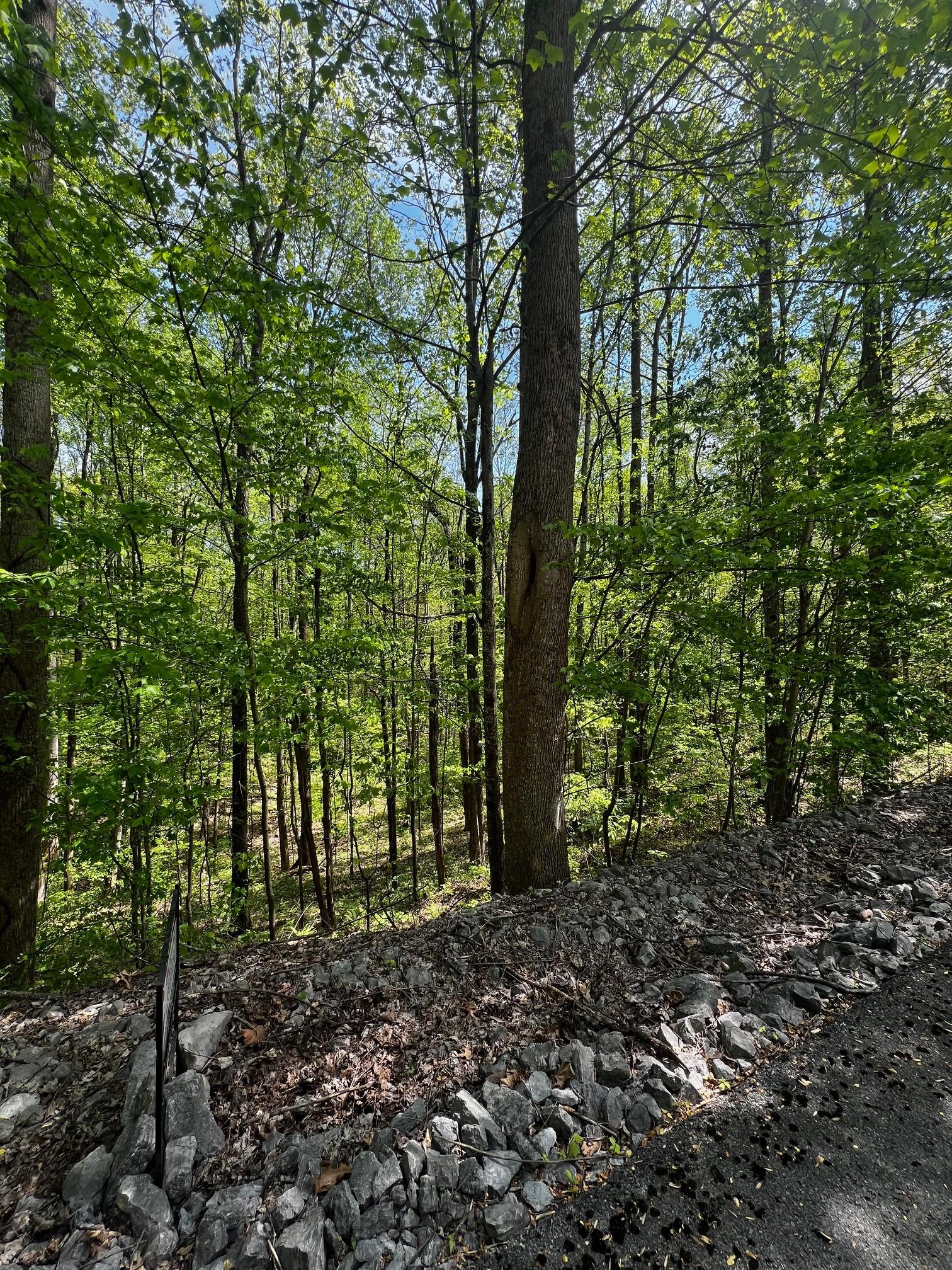 Image 2 Image 2
