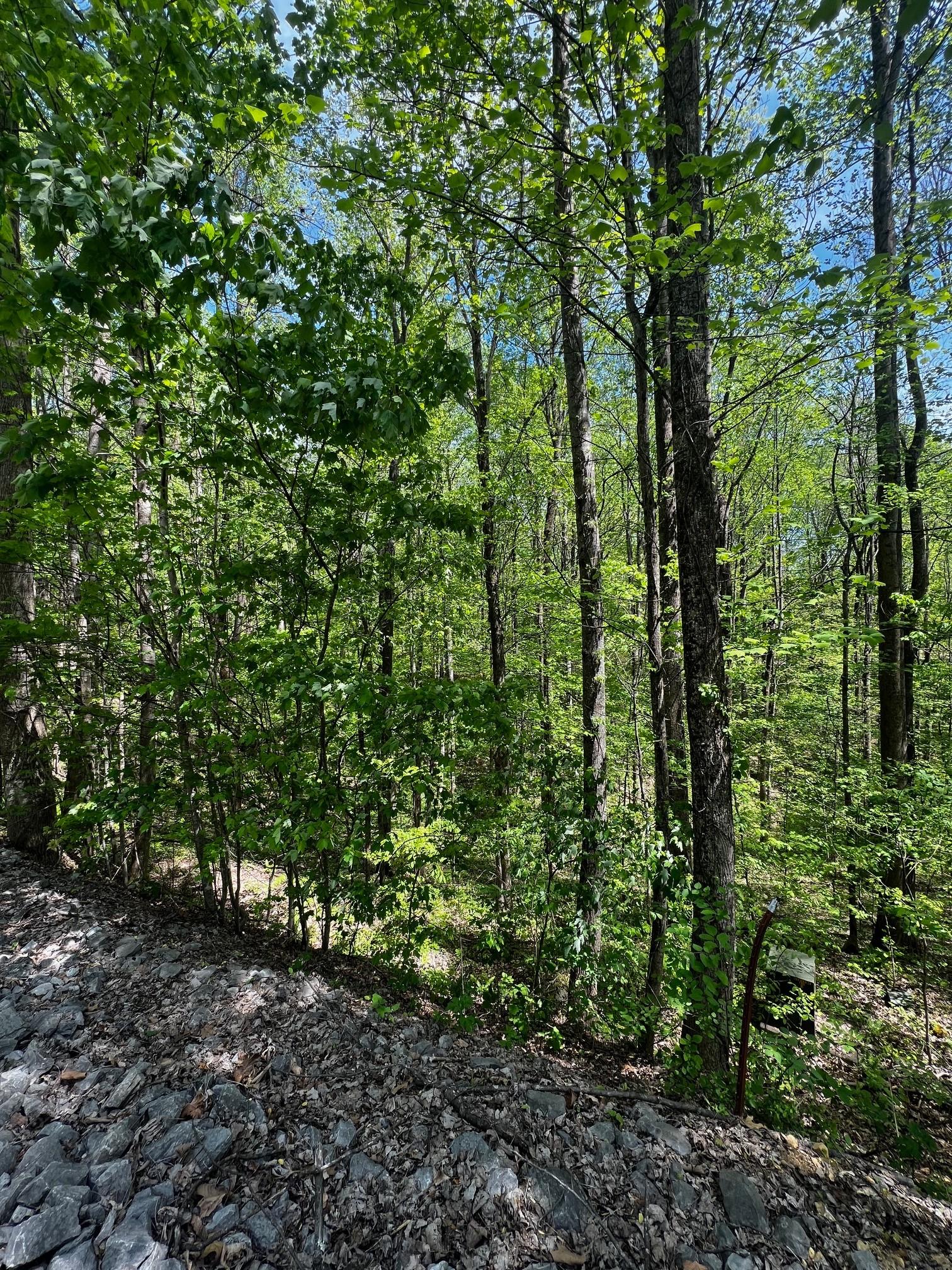 Image 3 Image 3