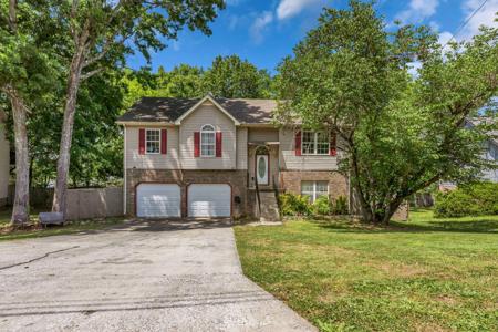 311 Timberglenn Dr