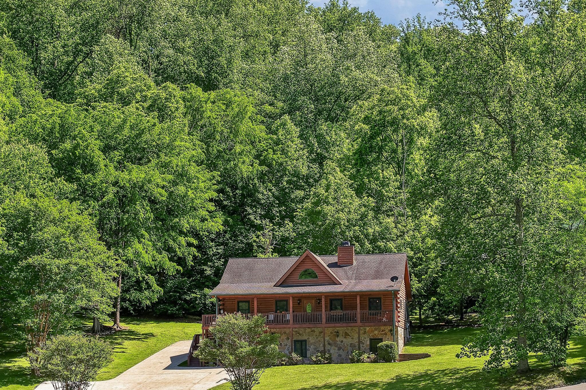 Image 4 Image 4