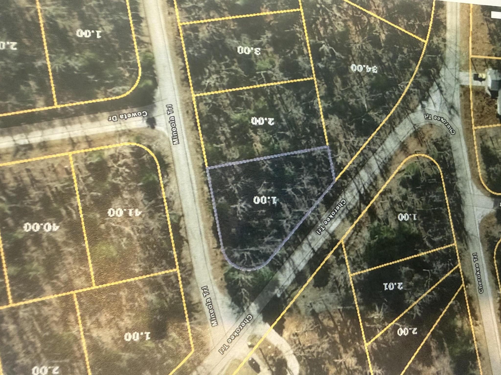 Image 1 Image 1