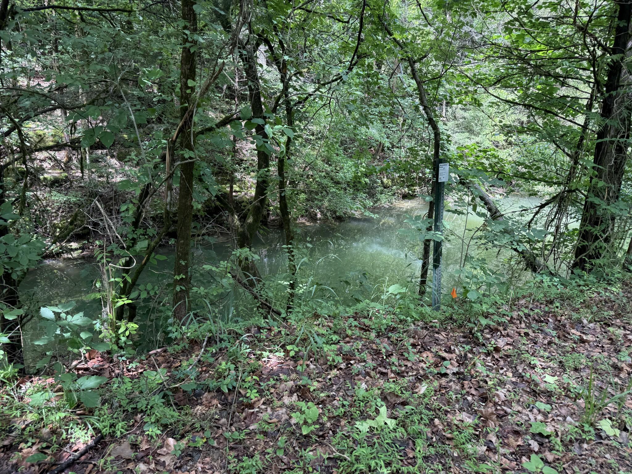 Image 3 Image 3