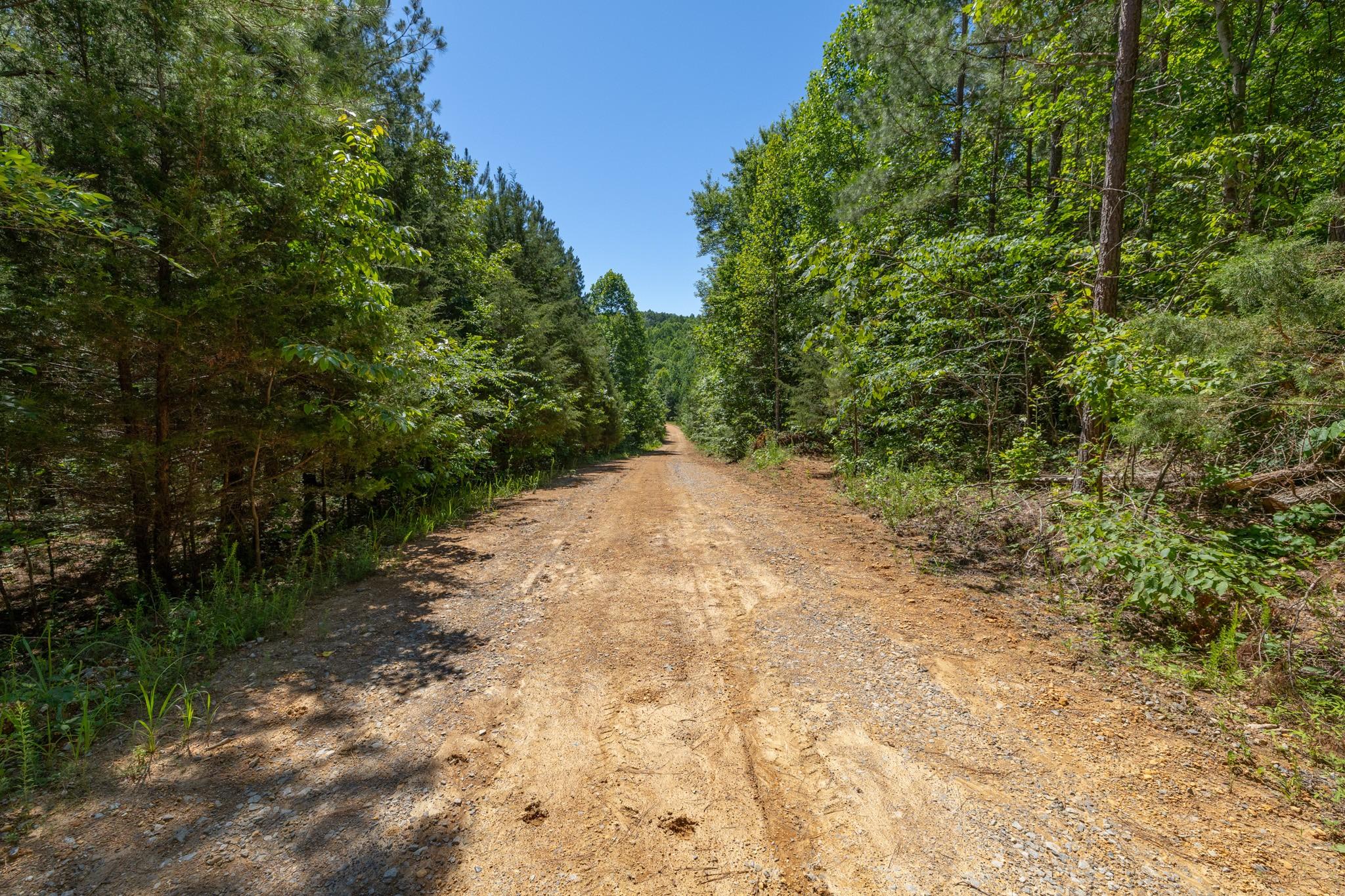 Image 3 Image 3