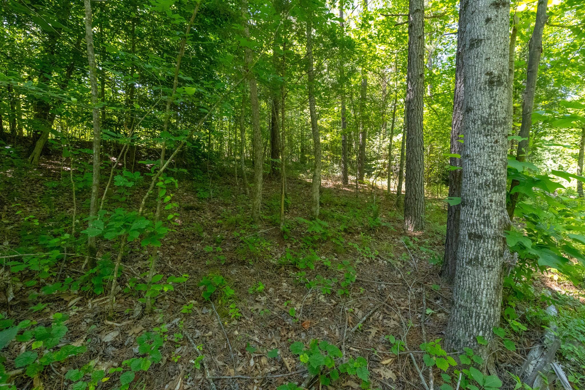 Image 4 Image 4
