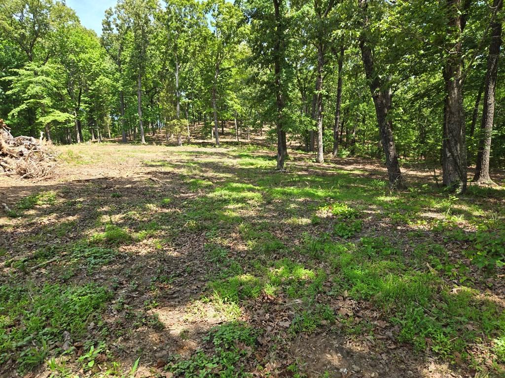 Image 1 Image 1