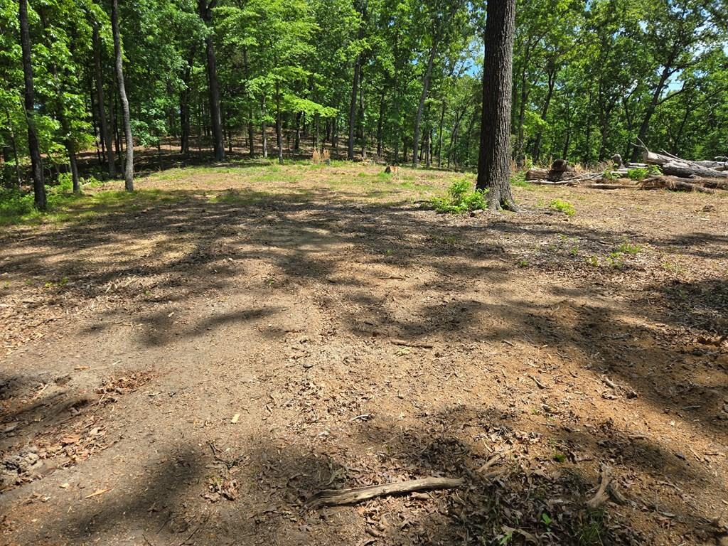 Image 4 Image 4