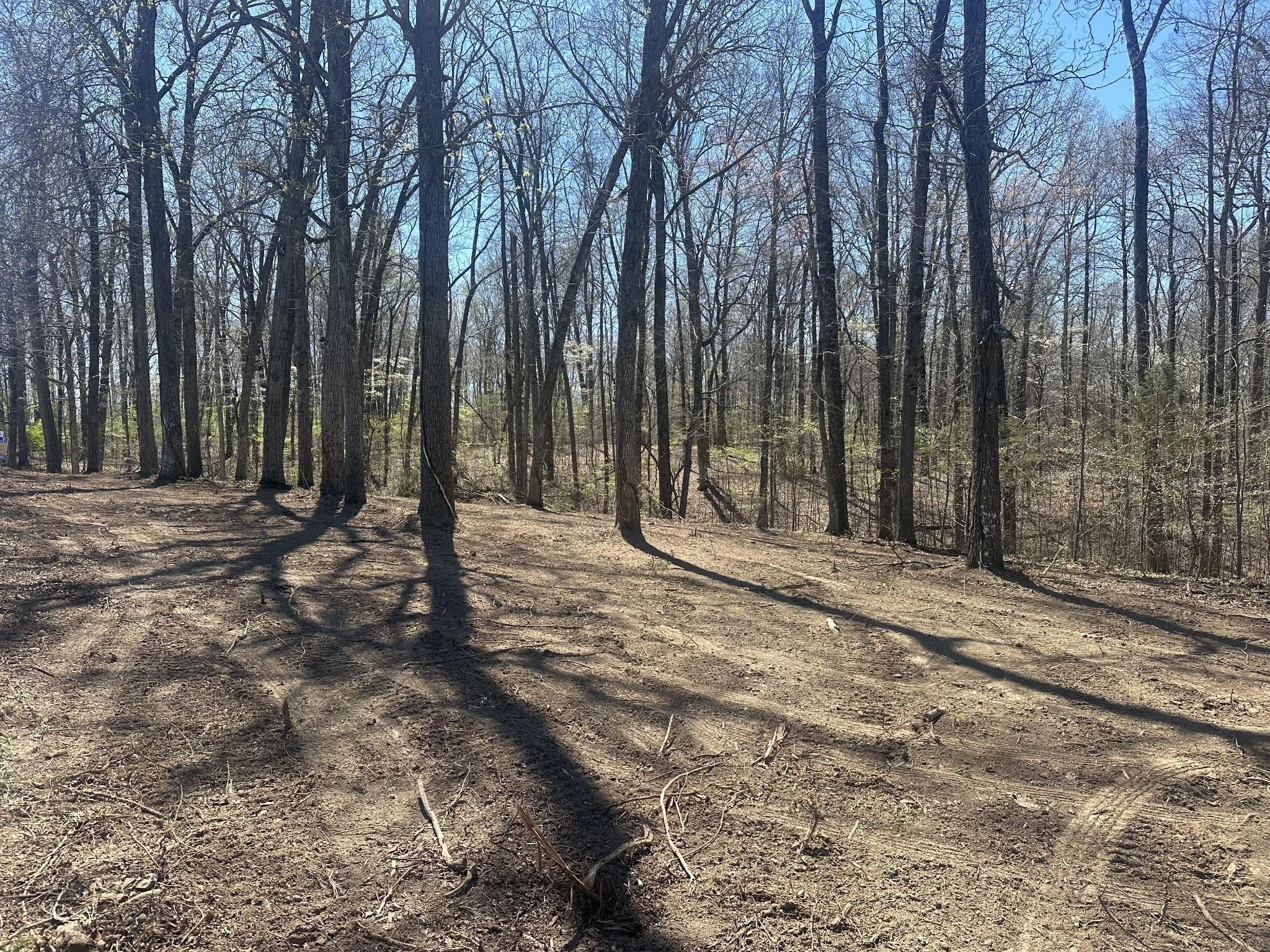 Image 4 Image 4