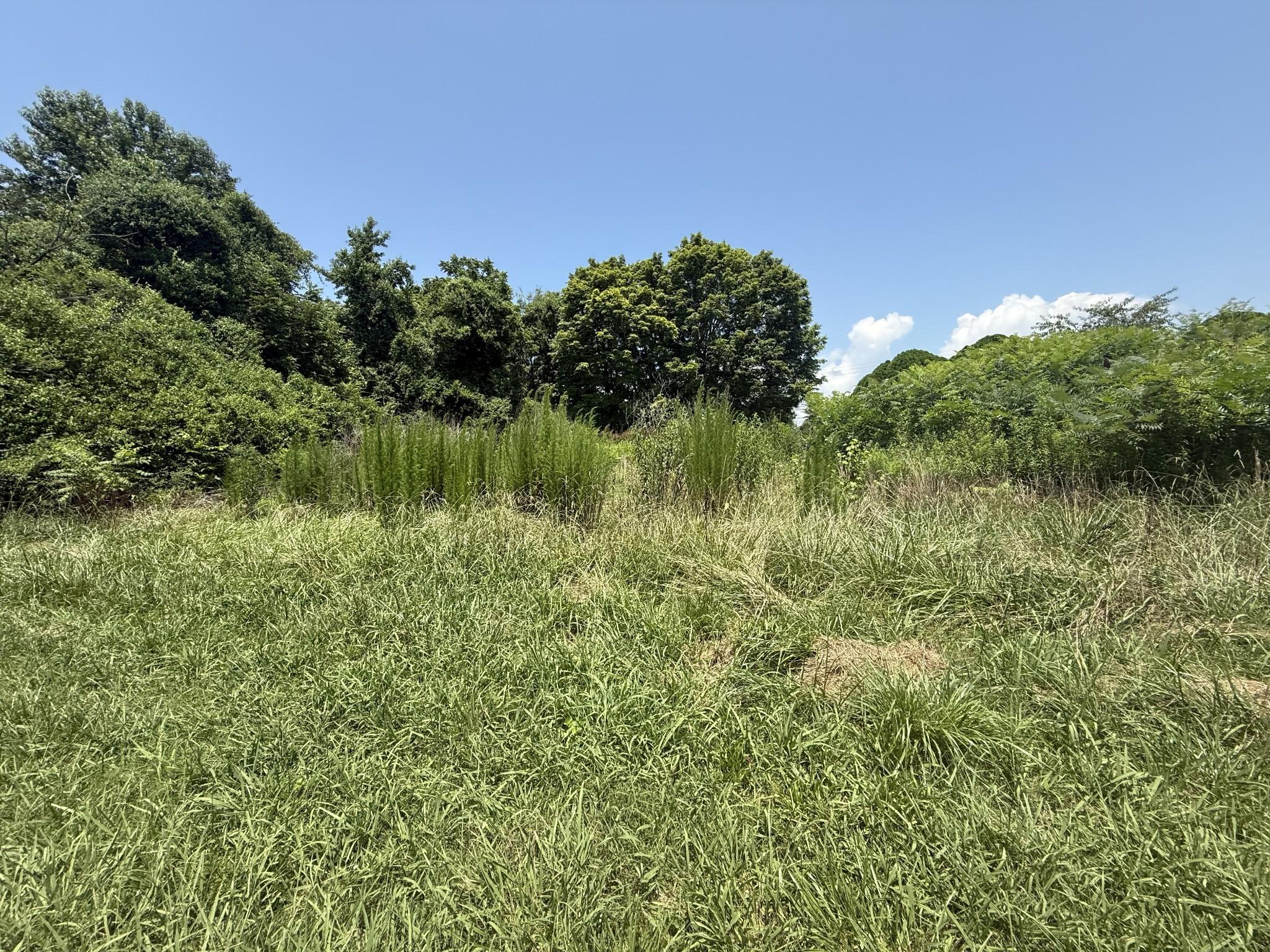 Image 3 Image 3