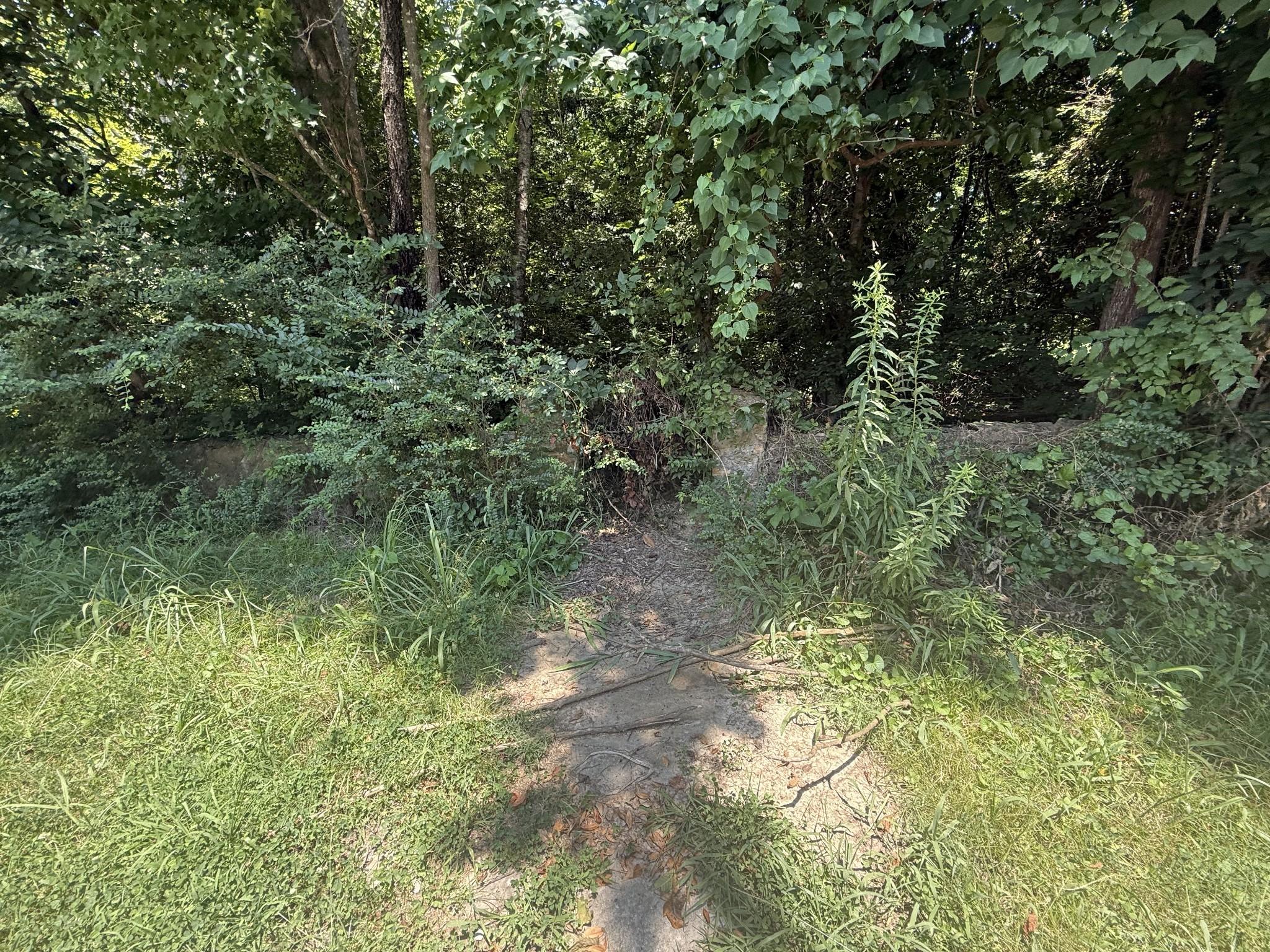 Image 4 Image 4