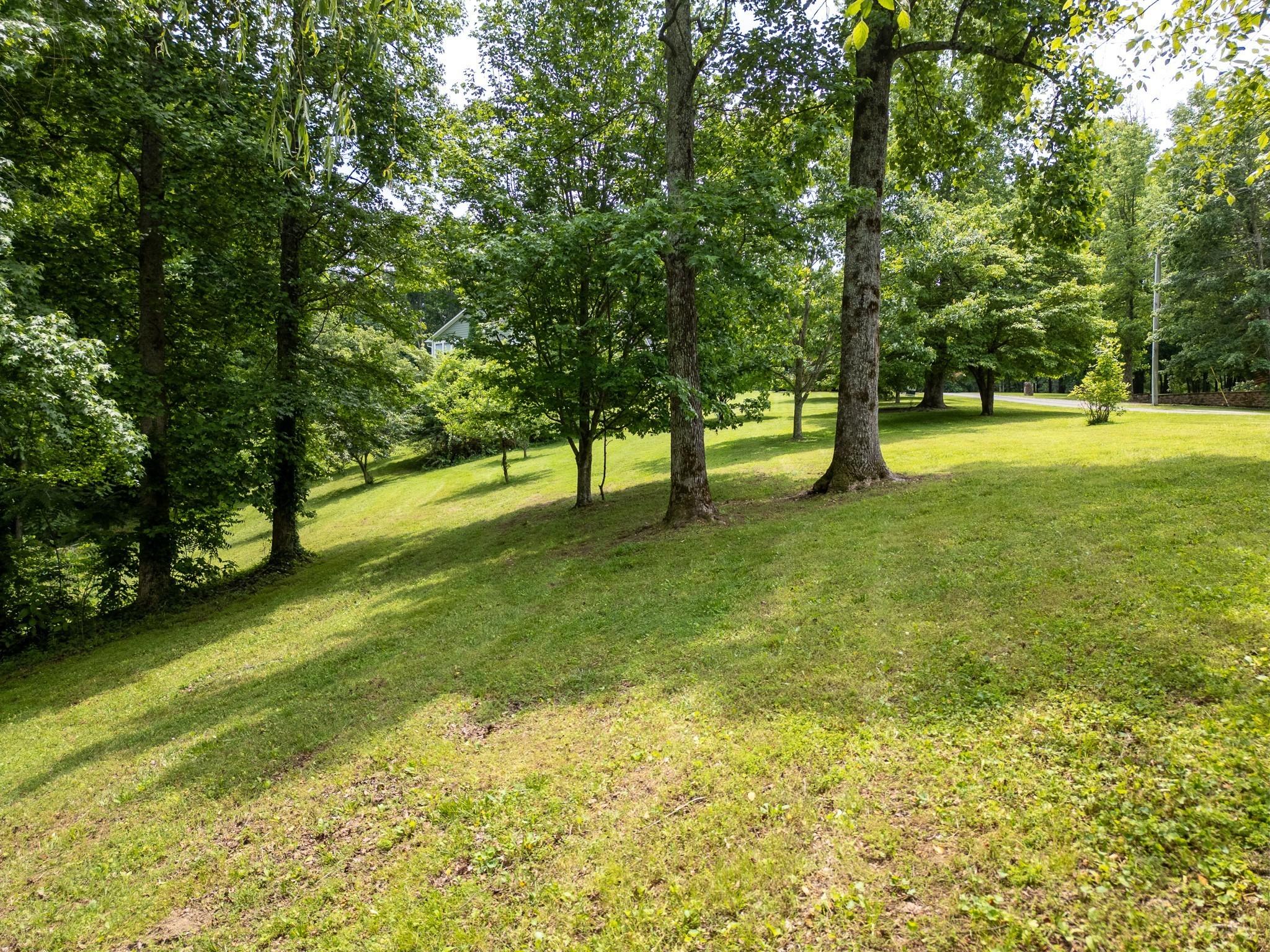 Image 4 Image 4
