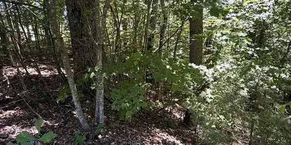Image 3 Image 3