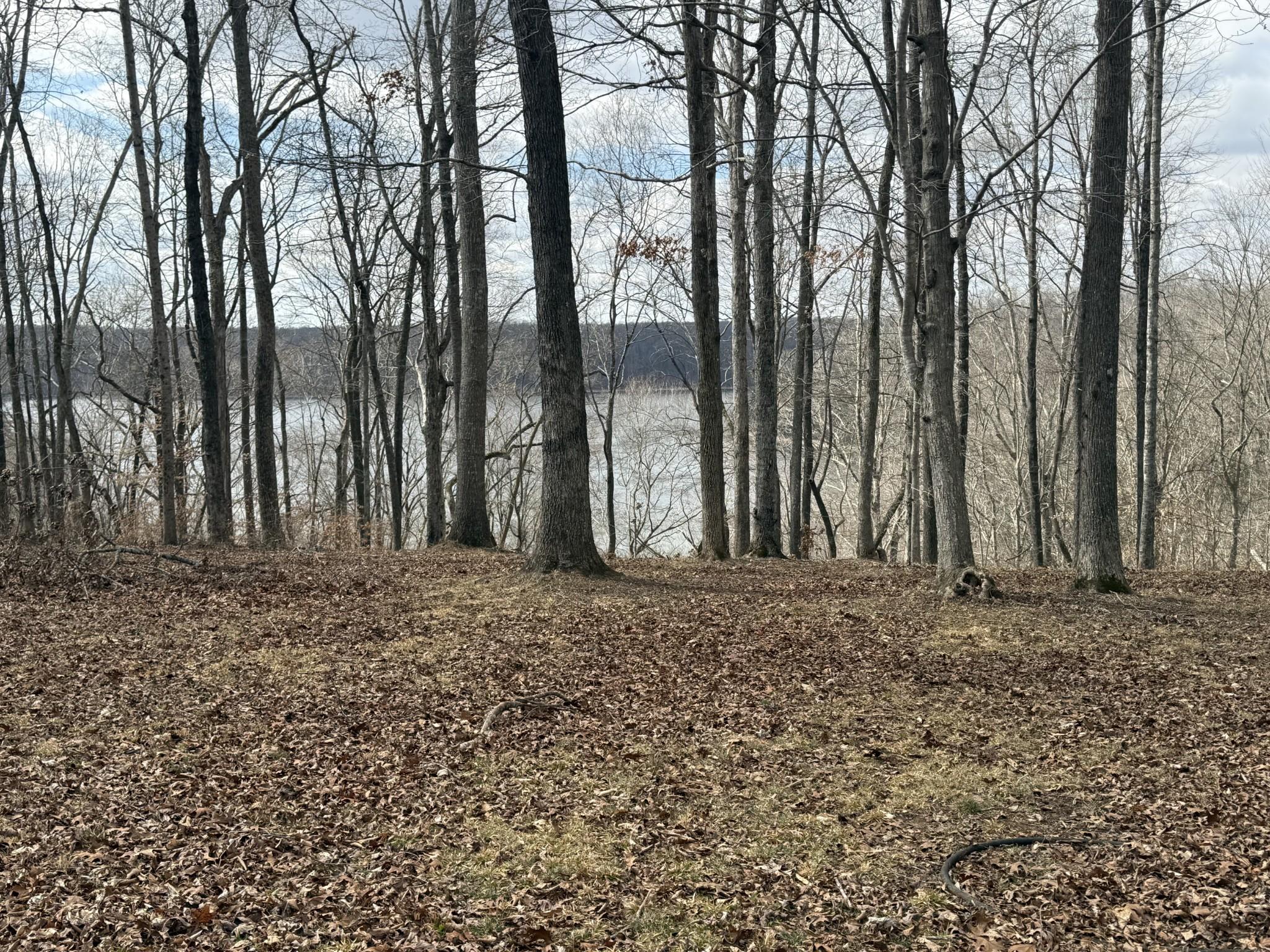 Image 3 Image 3