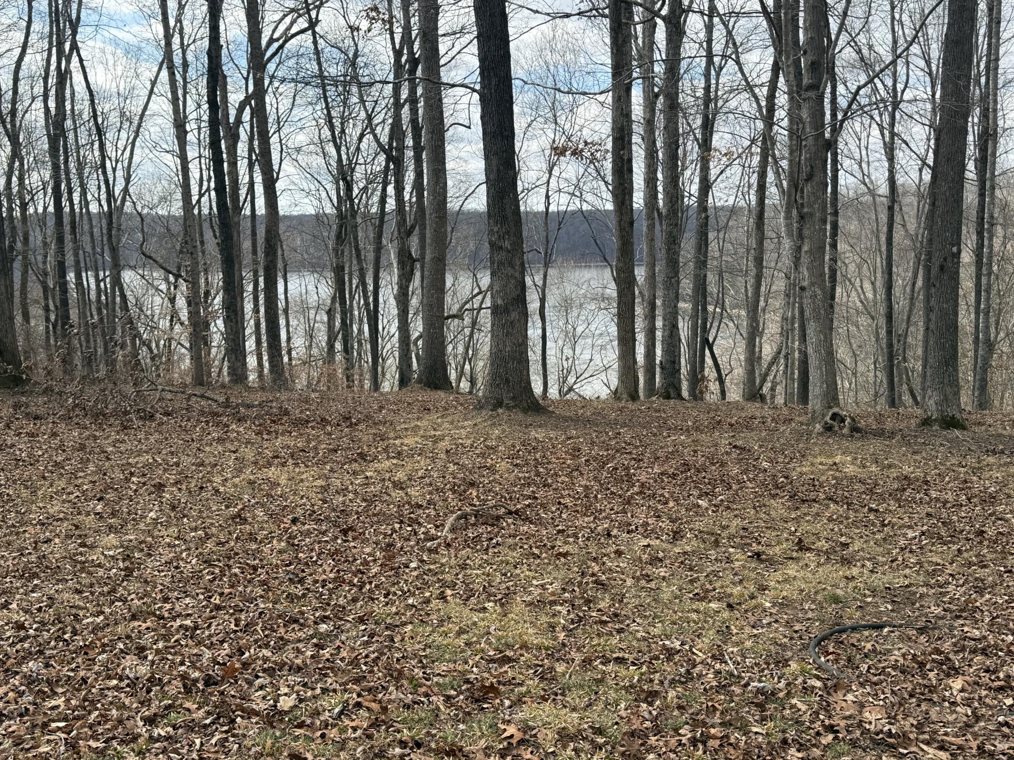 Image 4 Image 4