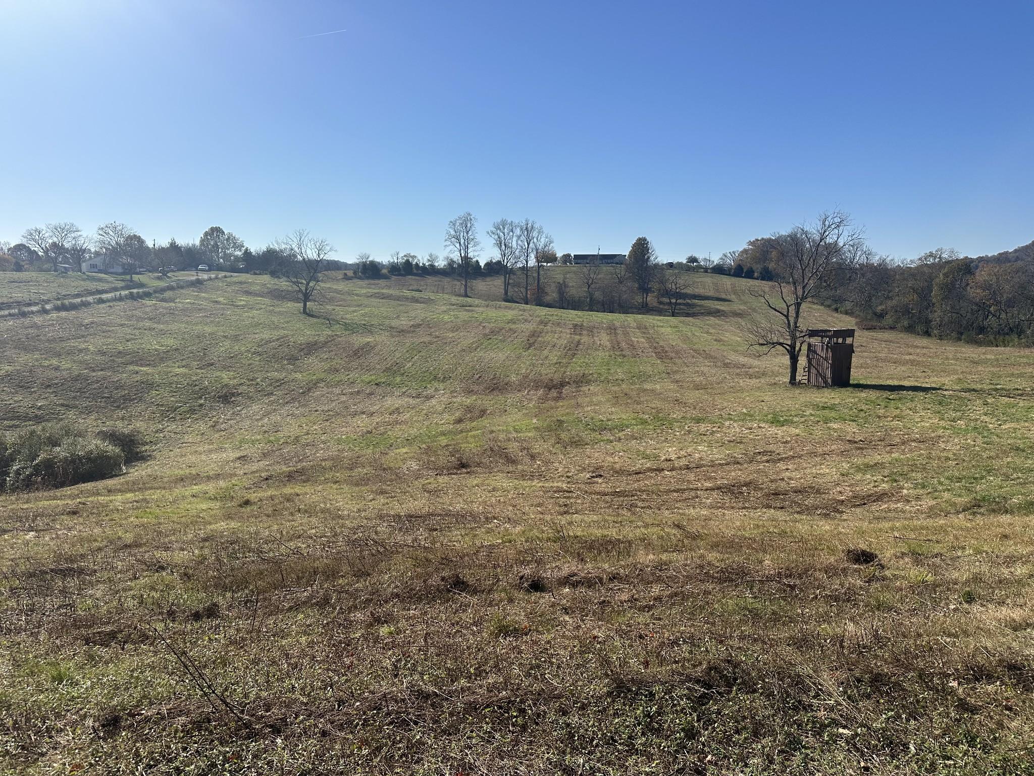 Image 1 Image 1