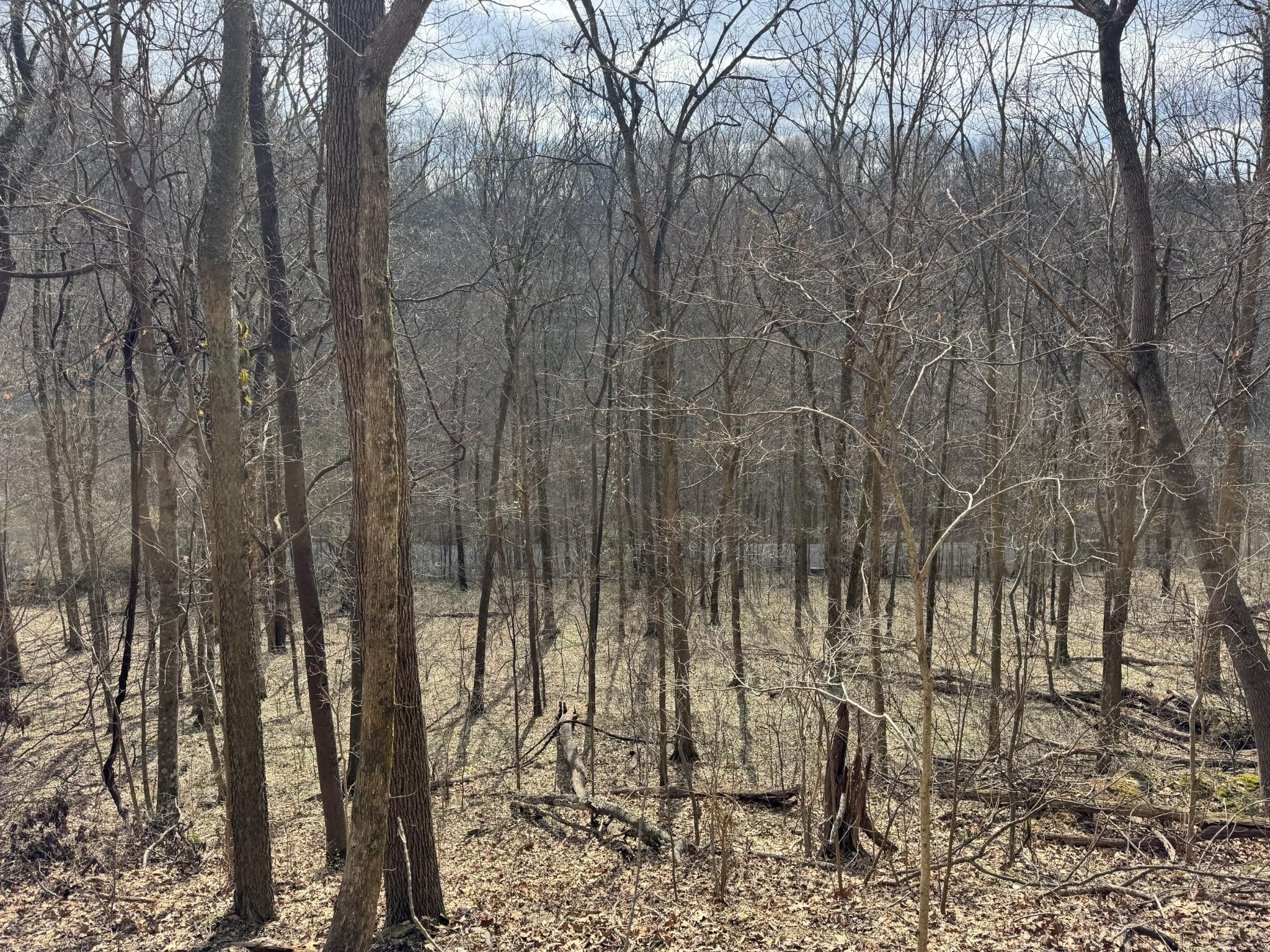 Image 2 Image 2
